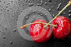 Red cherry berries in water drops