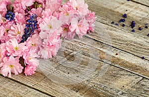 Red cherry blossom with two grape hyacinth on wood texture