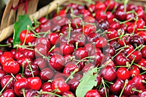 Red cherry