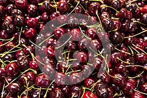 Red cherry fruit