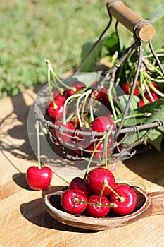 Red cherry and hand basket