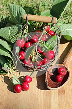 Red cherry and hand basket