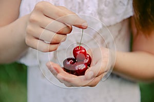 Red cherry in a hand of child hand in summer