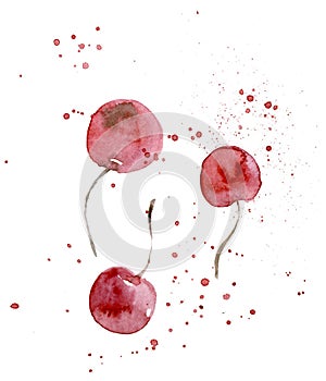 Red cherry. Hand drawn watercolor illustration isolated on white background