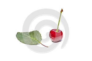 Red cherry isolated on a white background