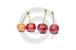 Red cherry isolated on a white background