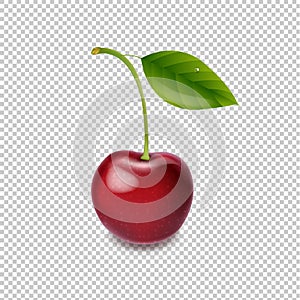Red Cherry Isolated White Background