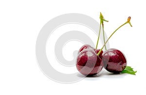 Red cherry with stalk and leaf isolated on white background. Ripe red sweet cherry. Sweet and juicy organic cherry. Fresh fruit
