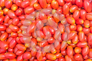 Red Cherry Tomato Background.