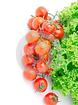 Red cherry tomato and salad lettuce