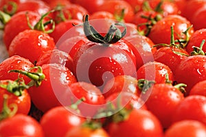 Red cherry tomato on wooden background