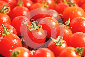 Red cherry tomato on wooden background