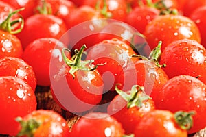 Red cherry tomato on wooden background