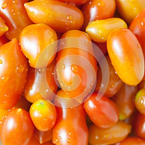 Red Cherry Tomatoes