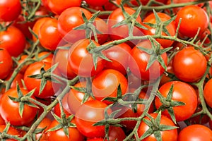 Red Cherry Tomatoes On Green Vine