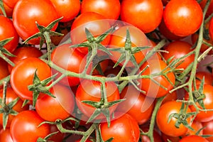 Red Cherry Tomatoes On Green Vine