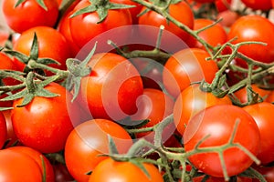 Red Cherry Tomatoes On Green Vine