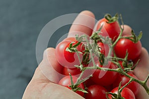 Red cherry tomatoes in a man`s hand