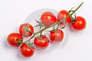 Red cherry tomatoes on a twig