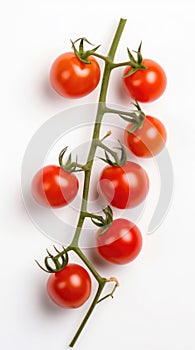 Red cherry tomatoes on a twig