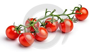 Red cherry tomatoes on a twig