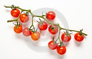 Red cherry tomatoes on a twig