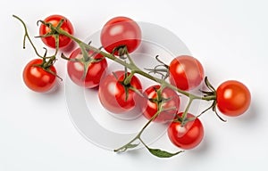 Red cherry tomatoes on a twig