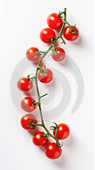 Red cherry tomatoes on a twig