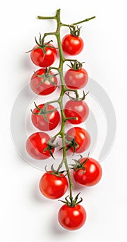 Red cherry tomatoes on a twig