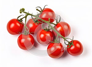 Red cherry tomatoes on a twig