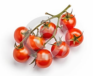 Red cherry tomatoes on a twig