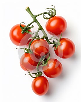 Red cherry tomatoes on a twig