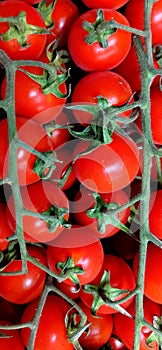 Red Cherry tomatoes verticals short photo