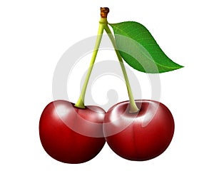 Red cherry. Two ripe berries with stalk and a leaf. Realistic vector illustration isolated on white background. Sweet fruits. 3d