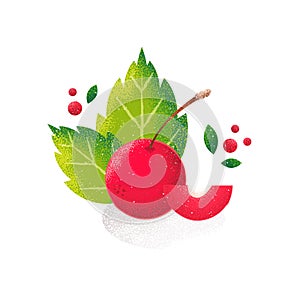 Red cherry on white background. Vector card in grunge style