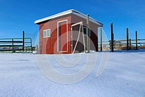 Red Chicken Coop on a Snow Covered Farm