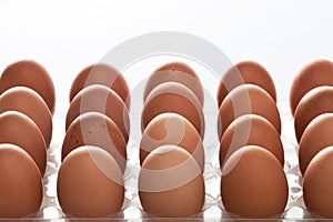 Red chicken eggs lined up in tray