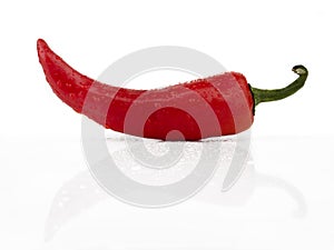 Red chile