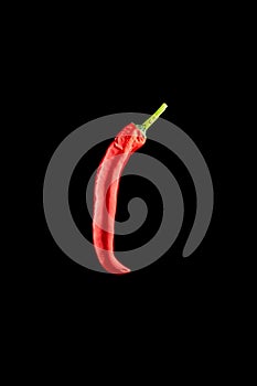 Red chile pepper. Spicy chile cayenne pepper isolated. Red hot chili paprika on black background. Ingredient for fresh