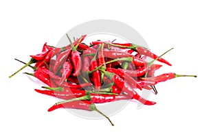 red chili or chilli cayenne pepper isolated on white background photo