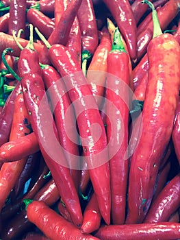 Red chili, fresh vegetable