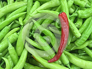 Red chili on Groups of chili in market