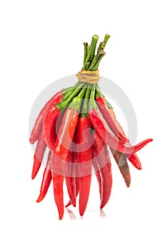 Red chili isolated on white background photo