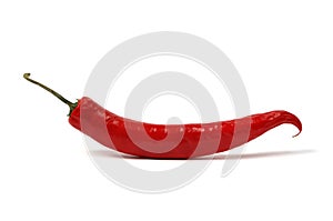 Red chili pepper