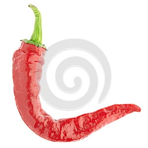 Red chili pepper