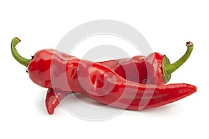 Red chili pepper