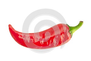 Red chili pepper