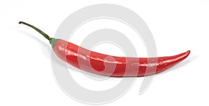 Red chili pepper