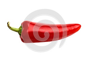 Red Chili Pepper photo