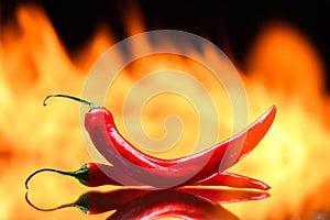 red chili pepper, on a background of burning fire, flames on a black background, hot and spicy spices